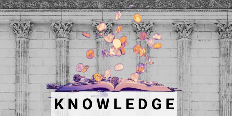 The picture shows a book from which coins are flying. Underneath it says "Knowledge" in large letters. On the one hand, this means that knowledge brings in money, and on the other, it is a humorous allusion to the meme "Here in My Garage" by Tai Lopez.